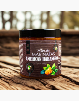 habanero_1750154461-e00ad3c575db93b3453787a22ed28183.png